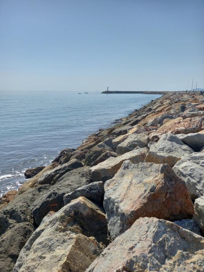 Appartement Saint Cyprien Plage Residence Les Mas De La Mer ภายนอก รูปภาพ