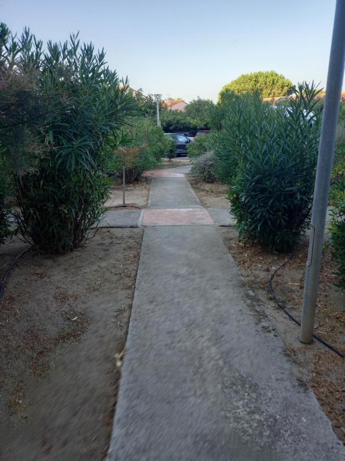 Appartement Saint Cyprien Plage Residence Les Mas De La Mer ภายนอก รูปภาพ