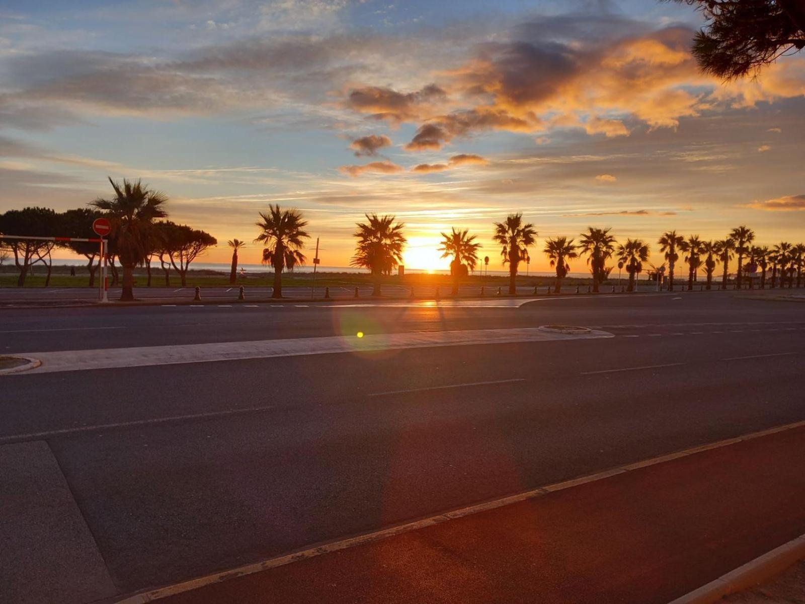 Appartement Saint Cyprien Plage Residence Les Mas De La Mer ภายนอก รูปภาพ